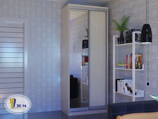 Шафа-купе 1010-1090x450x2200 &laquo;Віват Еко&raquo;